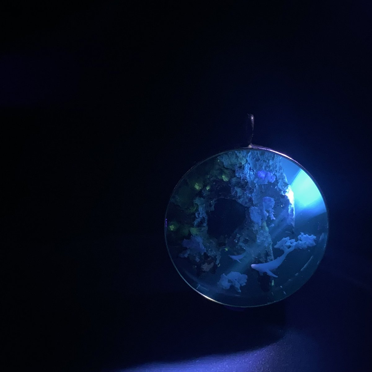 nS10ec6bj6bRm4Z's tweet image. 【遺物】
浮遊島下部から露出した巨大な螺旋構造物
内部には巨大な階層空間があり
「星渡る角」
と称される

封入されているアンモナイトは実物の化石です

minneにて販売です

 #レジンアート  #Resin  #化石