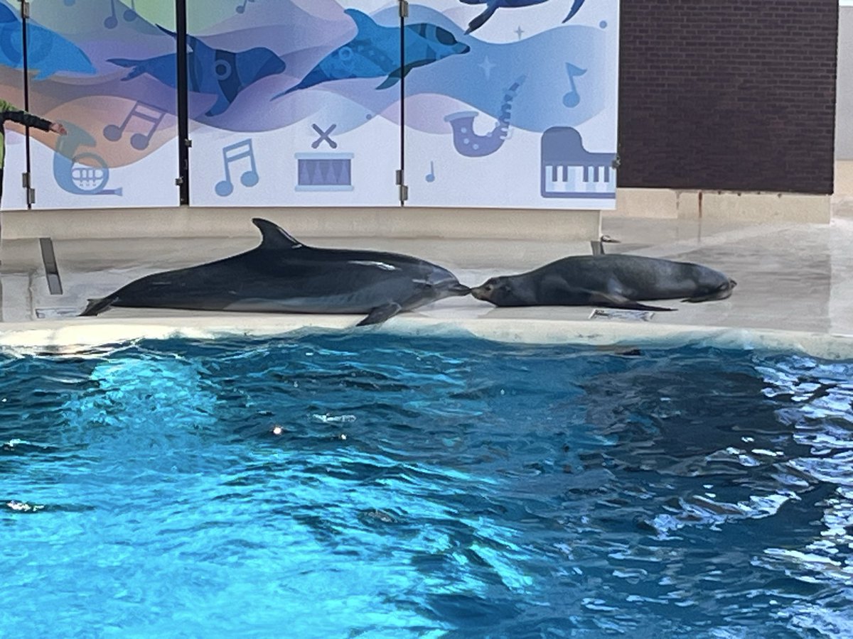 JUNON推し🐢えみ tweet media