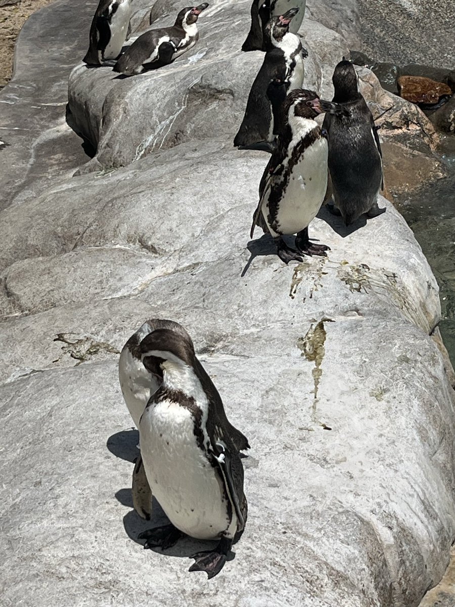 JUNON推し🐢えみ tweet media