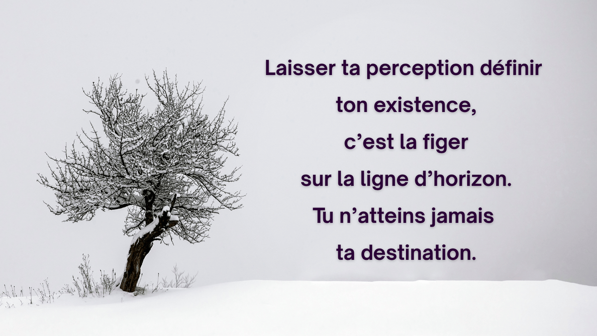 Euphémia (@sylviegriv92652) on Twitter photo 