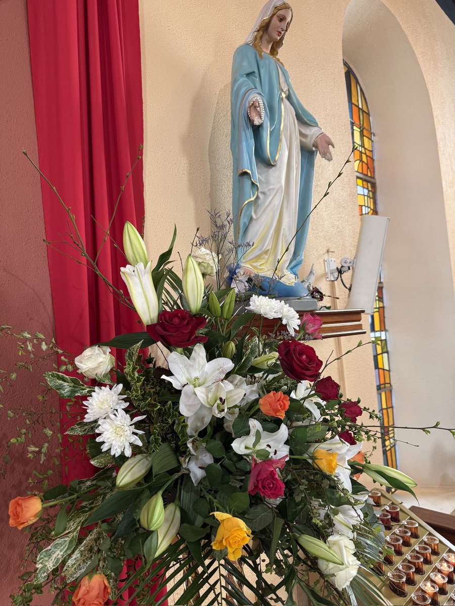 BishopFintan's tweet photo. Blessings to the students of Dunkerrin &amp; Monegal today Confirmed in the Holy Spirit @KillaloeDiocese https://t.co/lq60A6Q5Ar