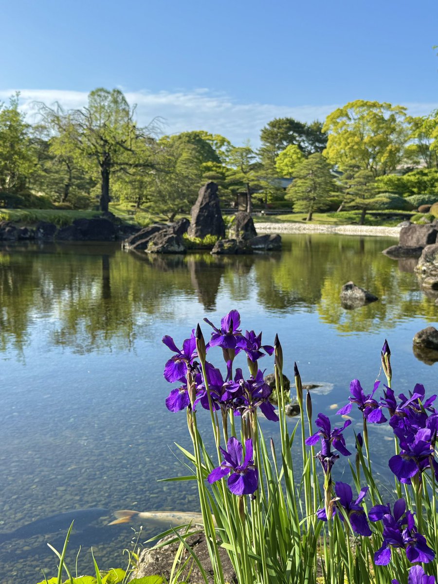 あさみん🏯 tweet media