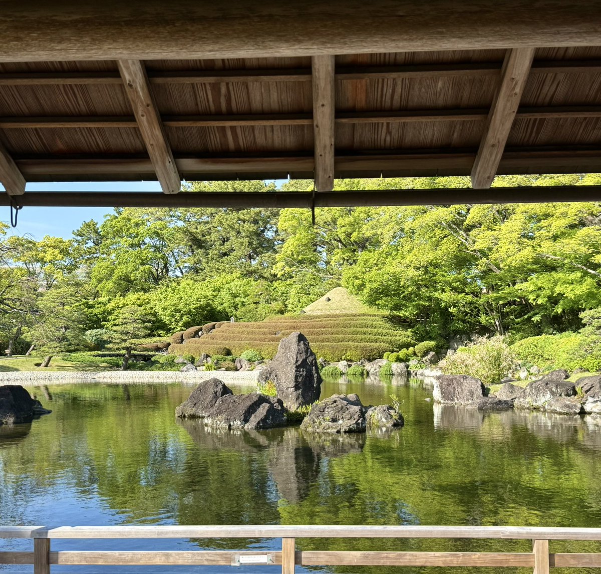 あさみん🏯 tweet media