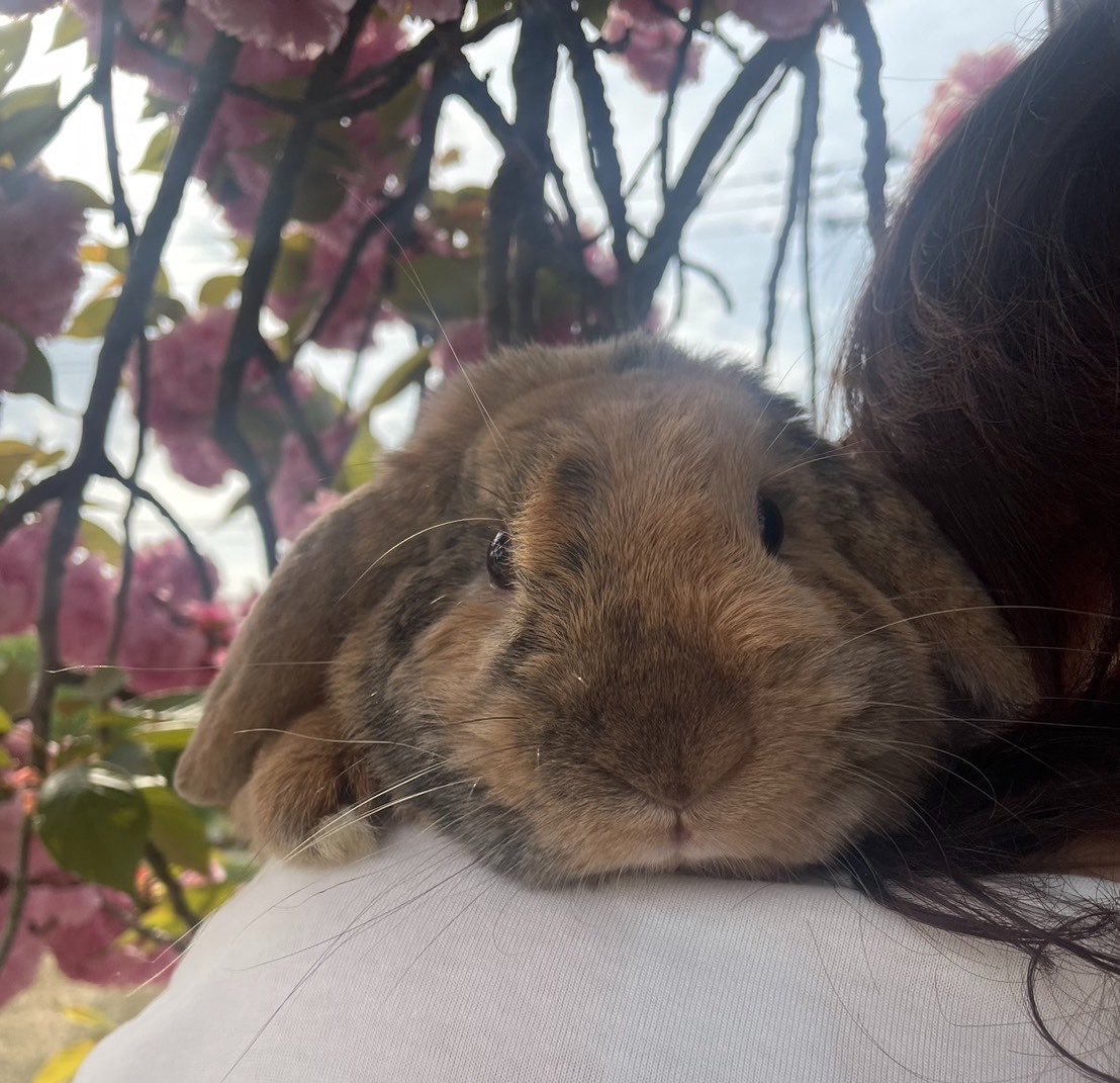 Leo 低浮上 tweet media