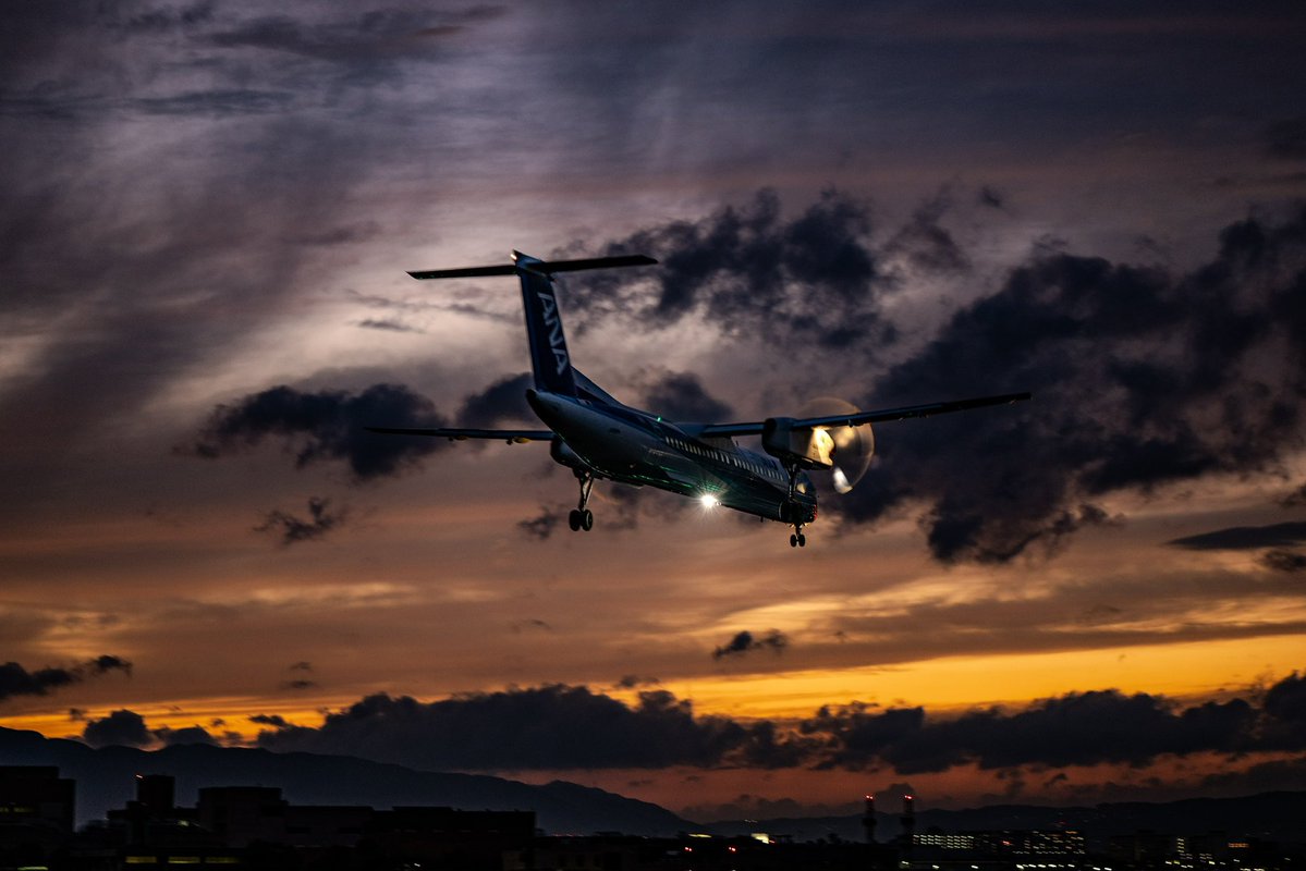 もぐら tweet media