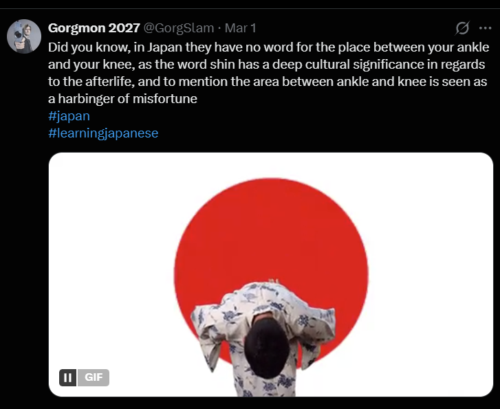 NoraSanSixty tweet media