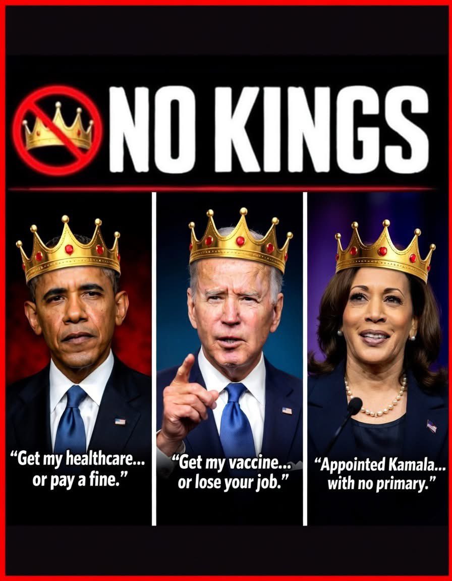 Kelly Hall tweet media