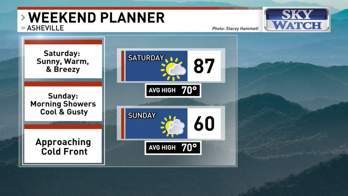 Julia Haley tweet media