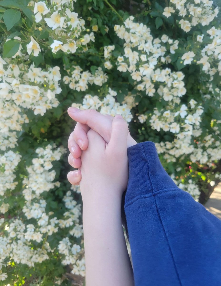 anxietymonstrr tweet media