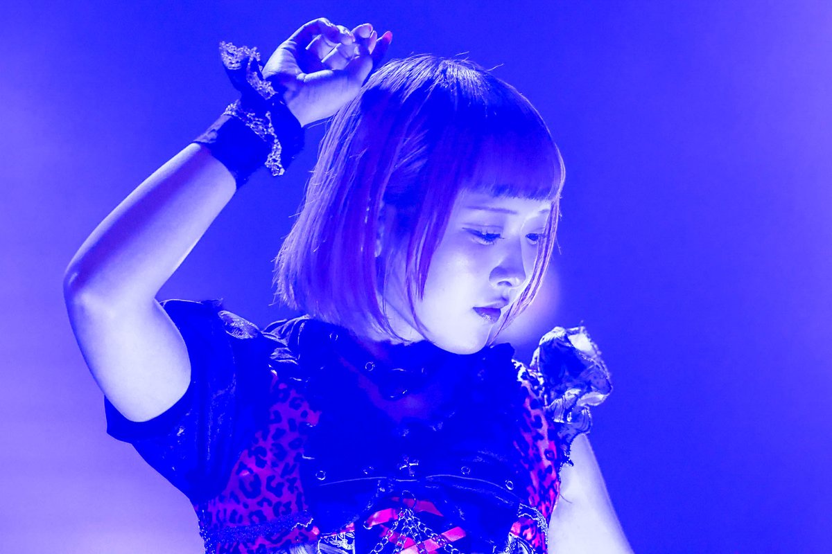 xa_kimu's tweet image. 最近ちょくちょくお目にかかるROARさん

#座右の銘 #ROAR
#銘のネバーランド
#ファインダー越しの私の世界