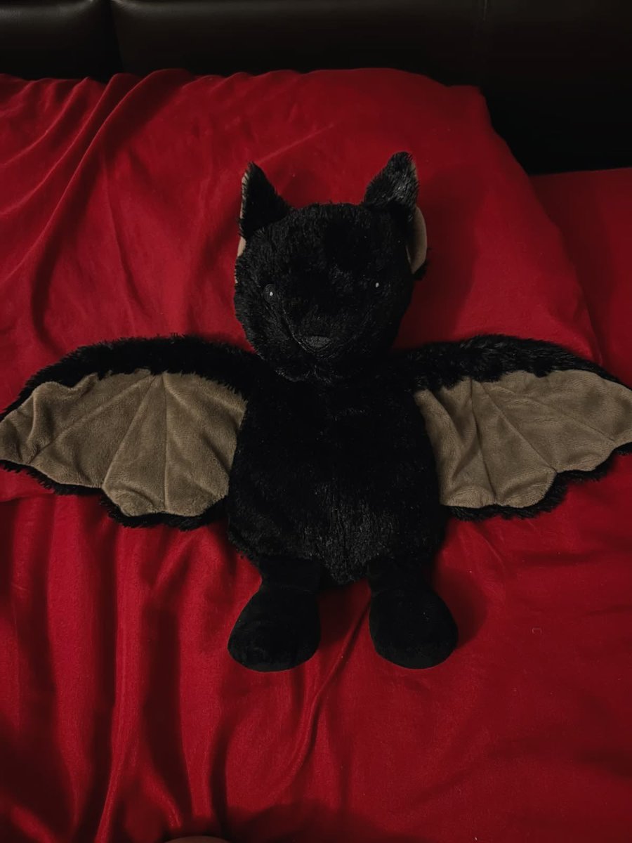 Elisabeta da Transilvânia🍷🪦 tweet media