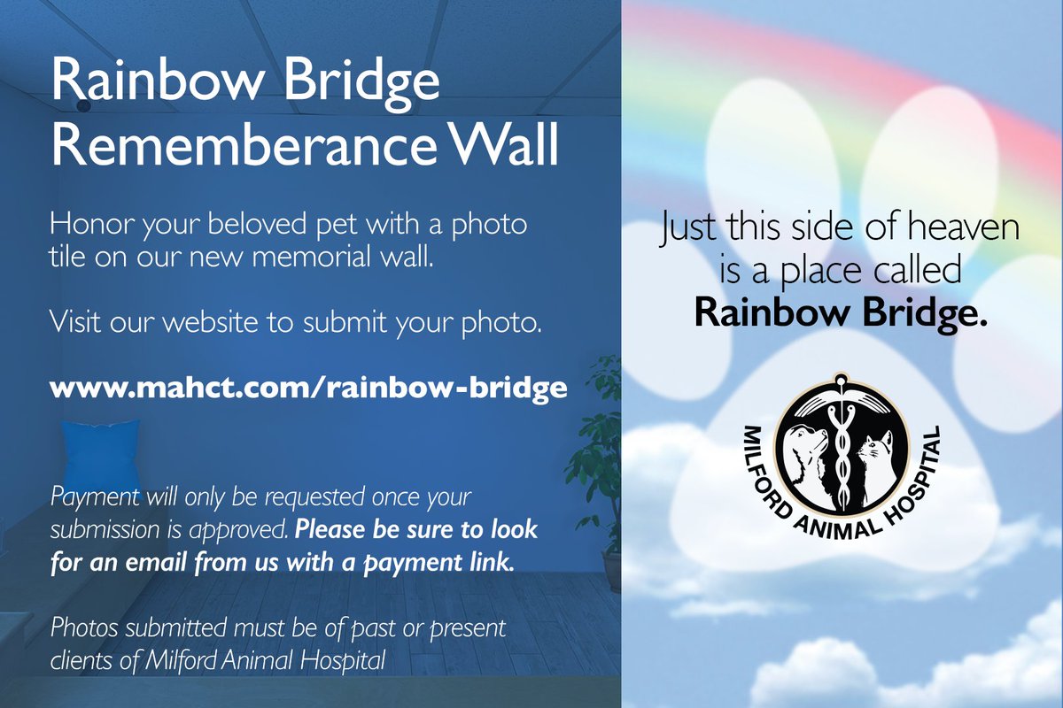 If you would like to celebrate your beloved pet and share their memory with our MAH family, we invite you to submit a photo and tribute through our Rainbow Bridge page >> mahct.com/rainbow-bridge/

#MilfordAnimalHospital #MAHCT
#milfordconnecticut #MilfordCT