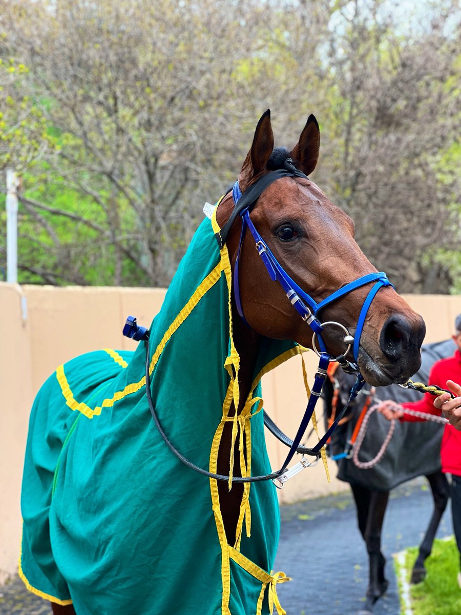 Nurullah Forza tweet media