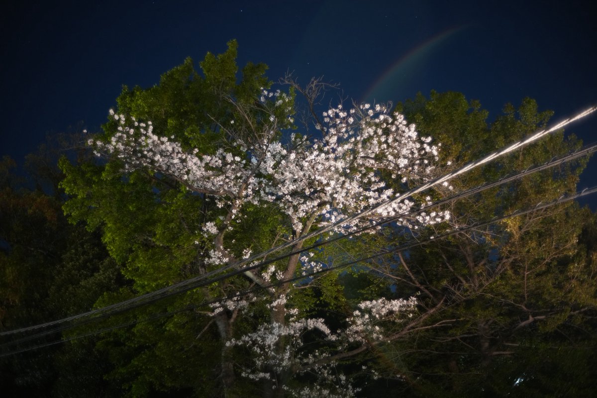 モンちやんんん tweet media