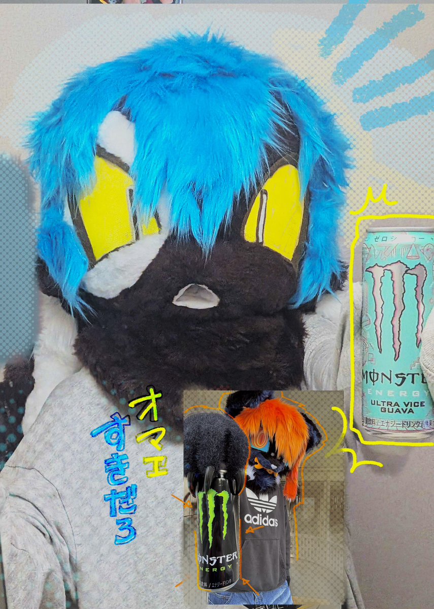 SALMONFLY tweet media