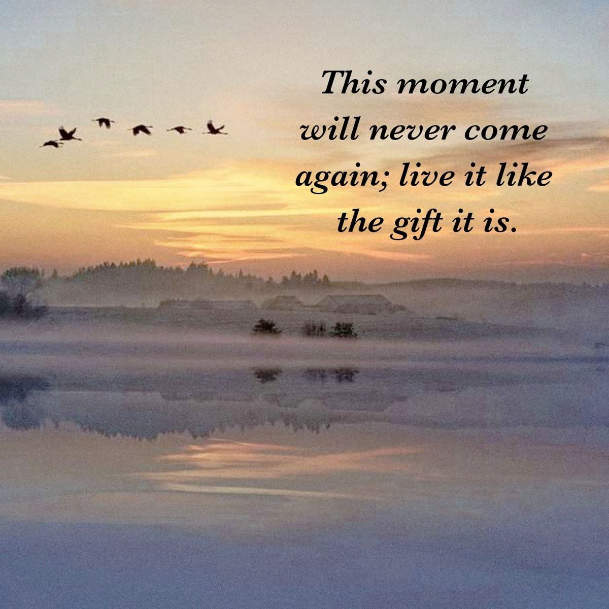 AWillbrandt1047's tweet photo. The present is life unfolding; lean into it and ordinary moments become meaningful. 💫🌸  #PresentMoment #LiveInTheNow #Quotes https://t.co/Mhmw70hEA6