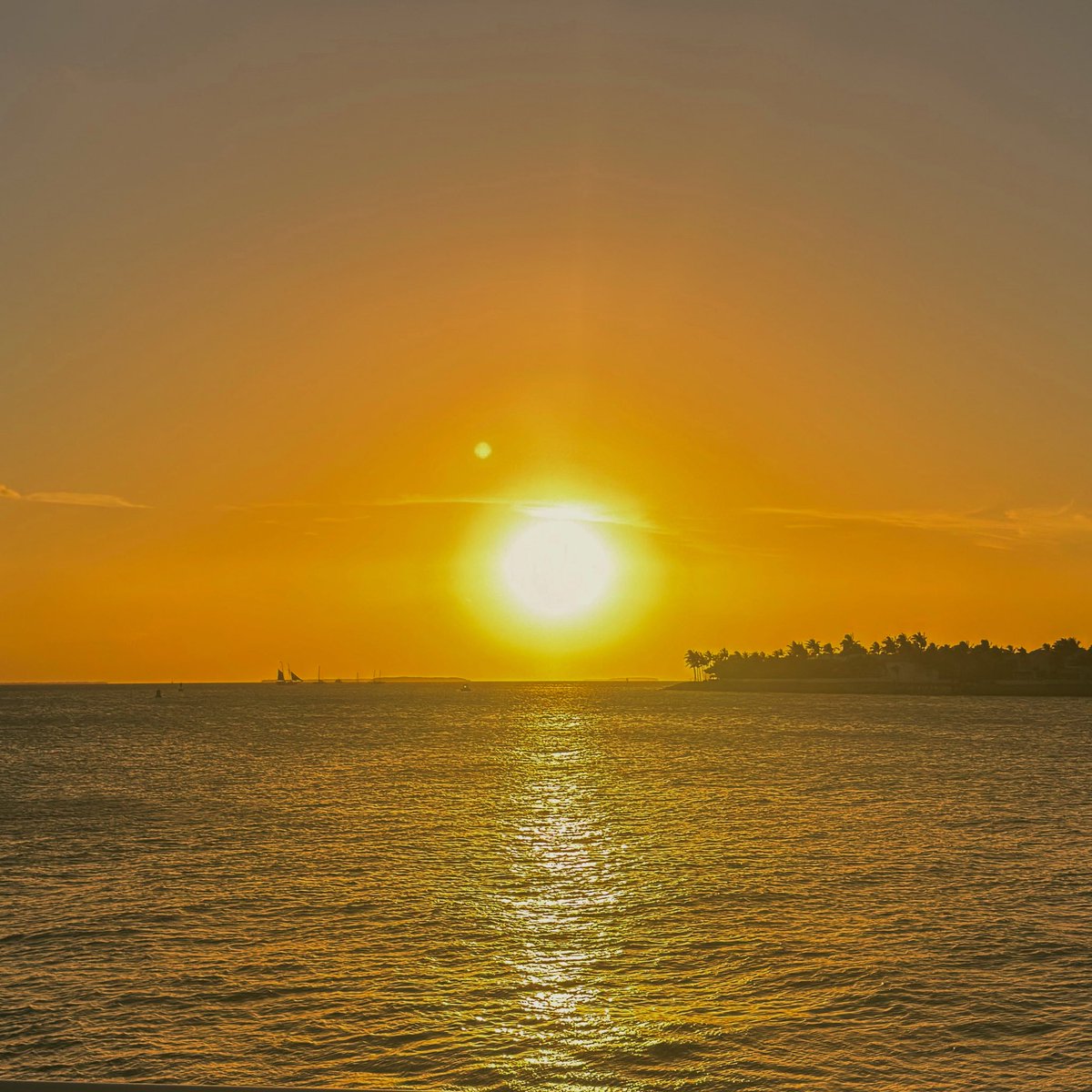 Anthony C tweet media