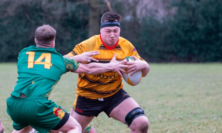 B&S Bees Rugby tweet media