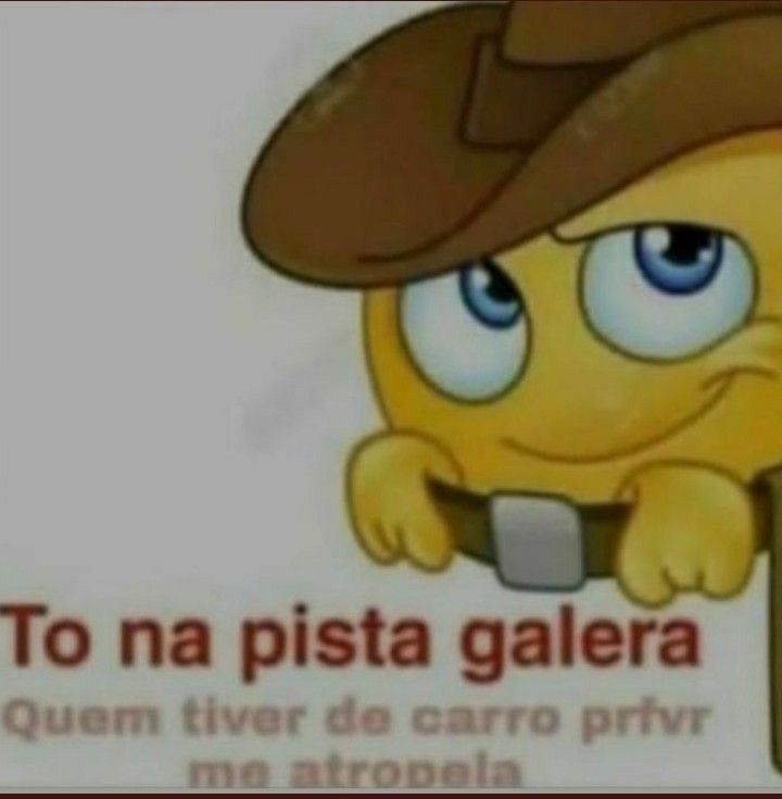 perfil dedicado a gatinhos e peitos (@odeiootaco) on Twitter photo 