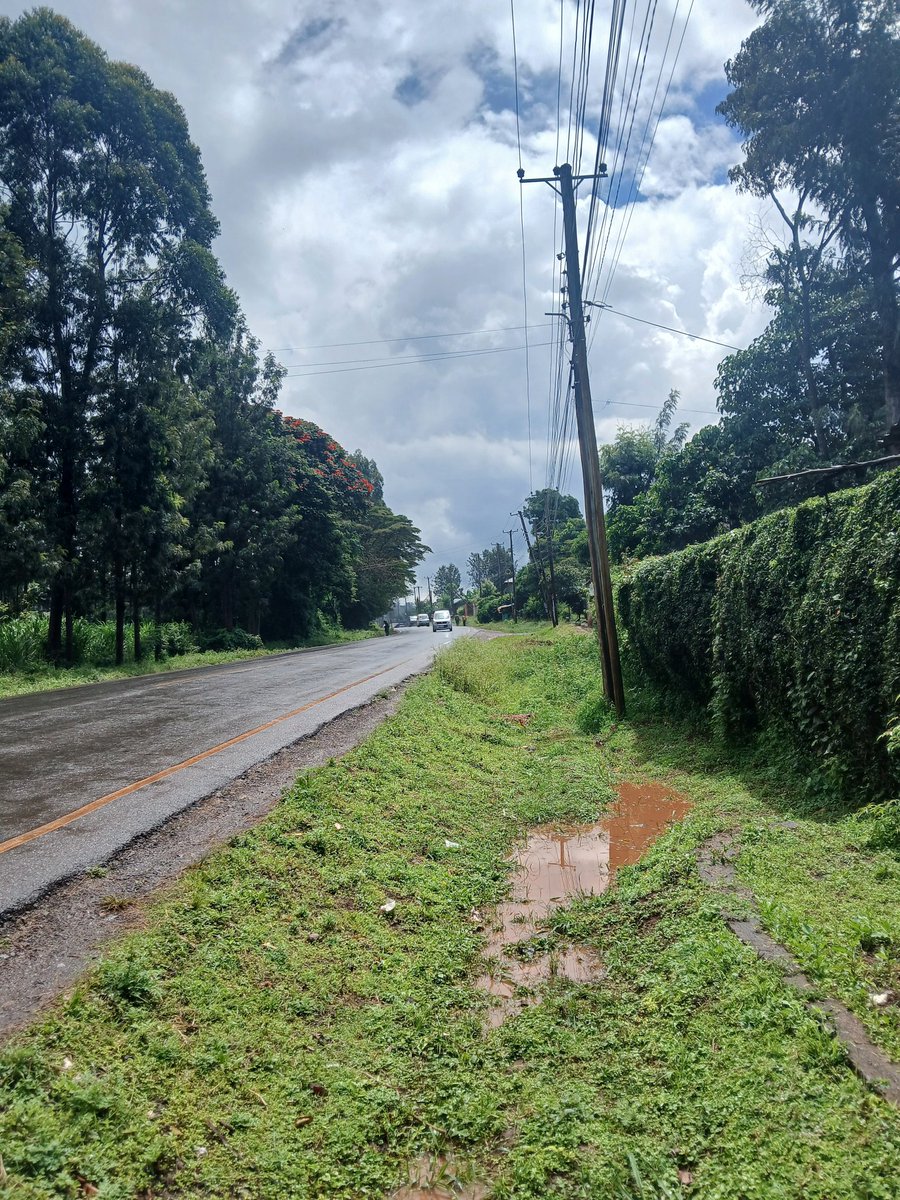 Shikanda⚡️ tweet media