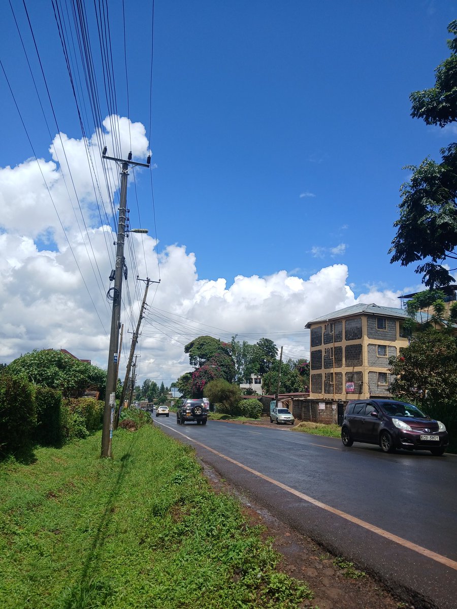 Shikanda⚡️ tweet media