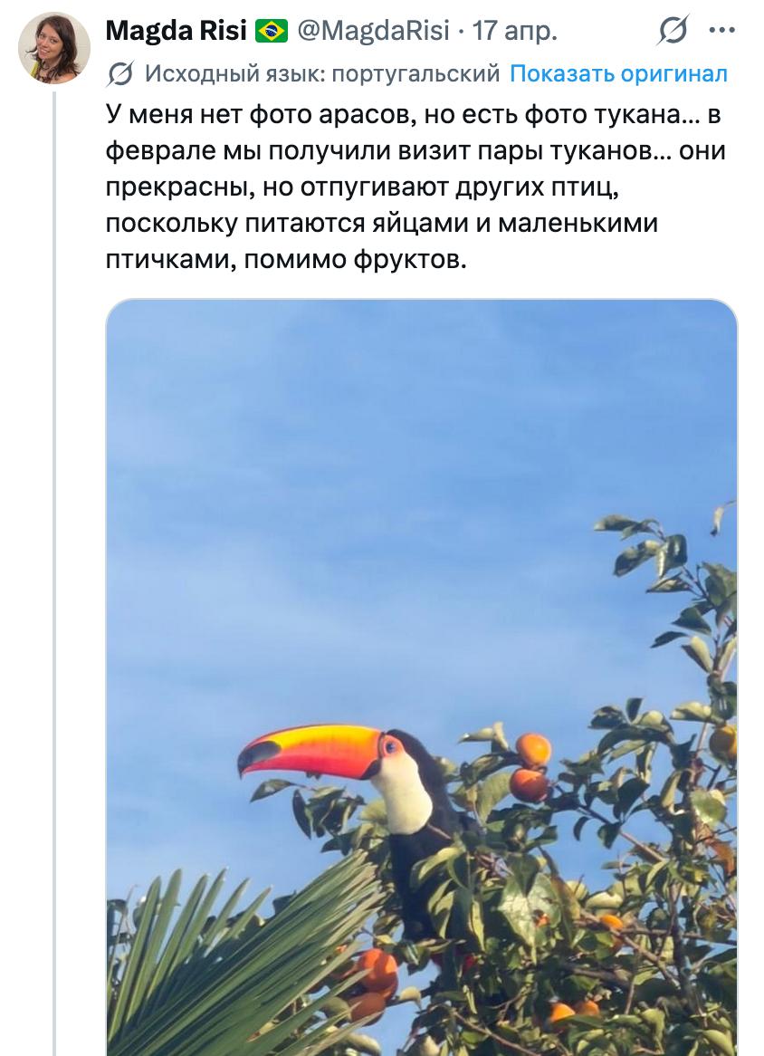 ивус tweet media