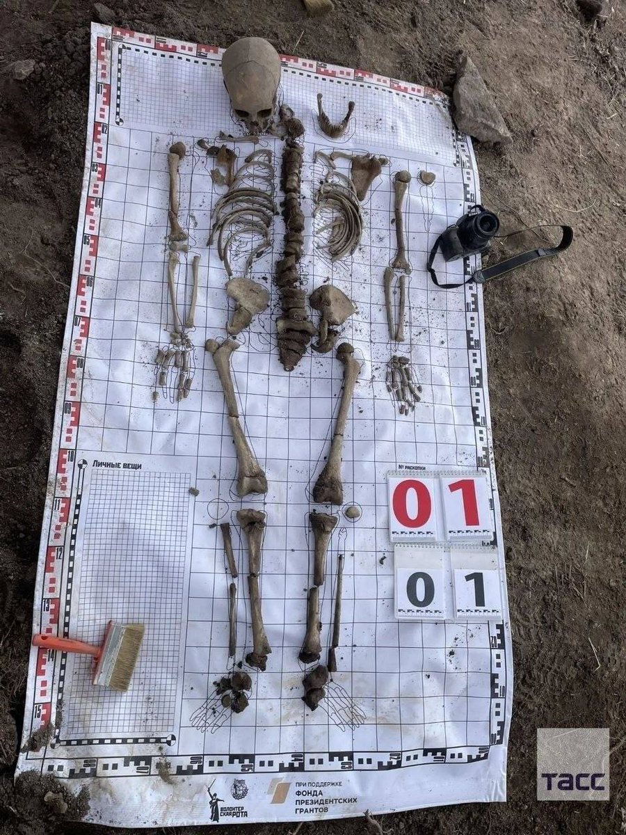 Дикий Петербург tweet media