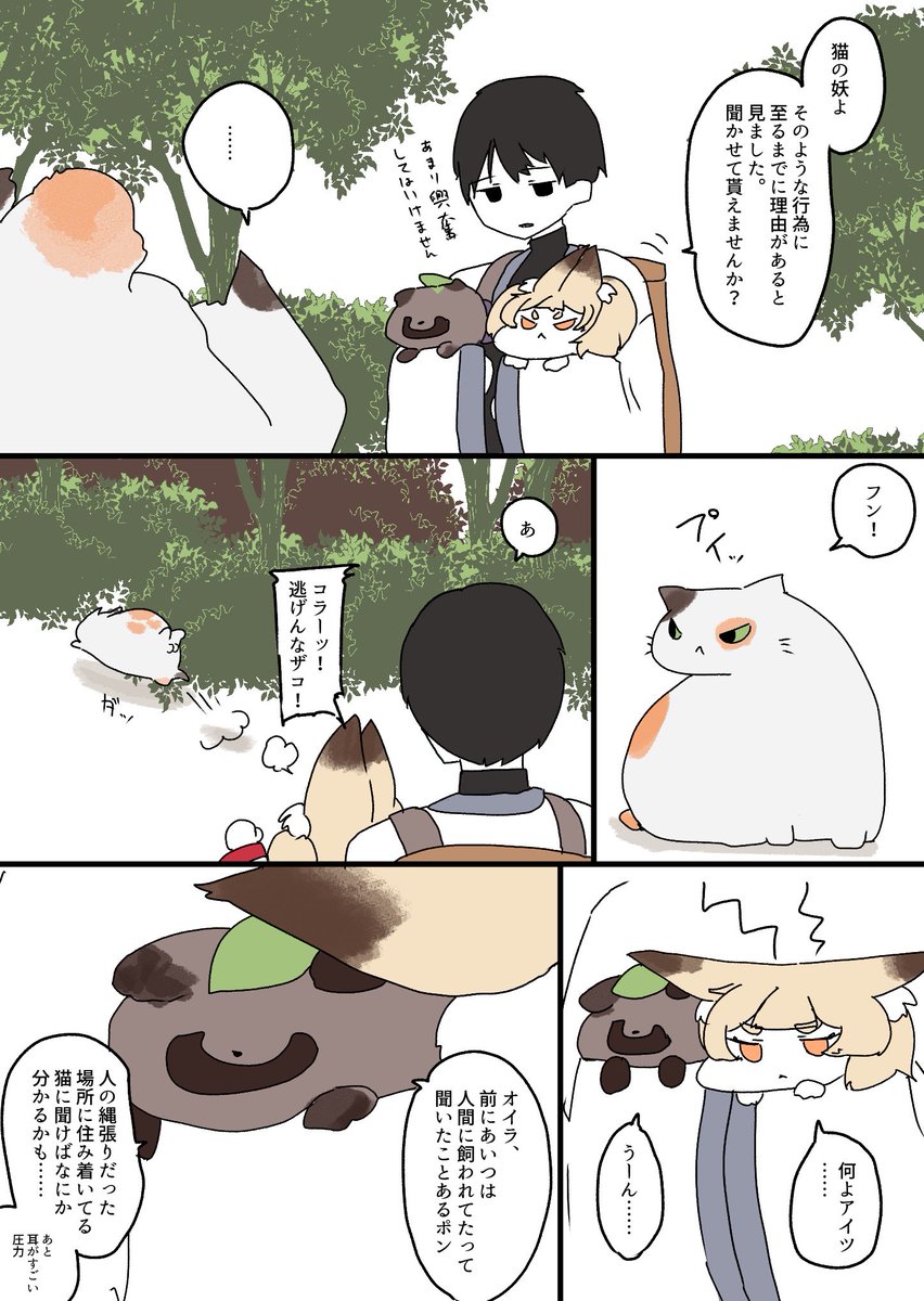 海◎屋 tweet media