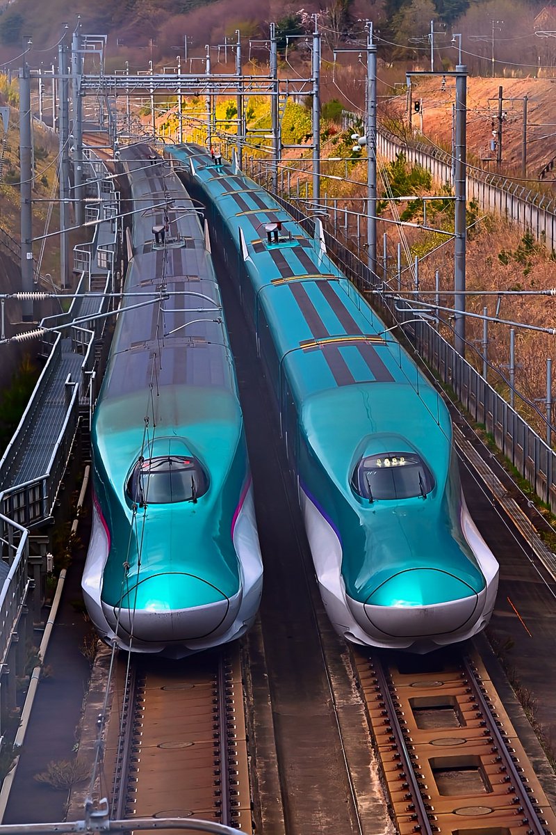 🔰んだガラナ🔰 tweet media