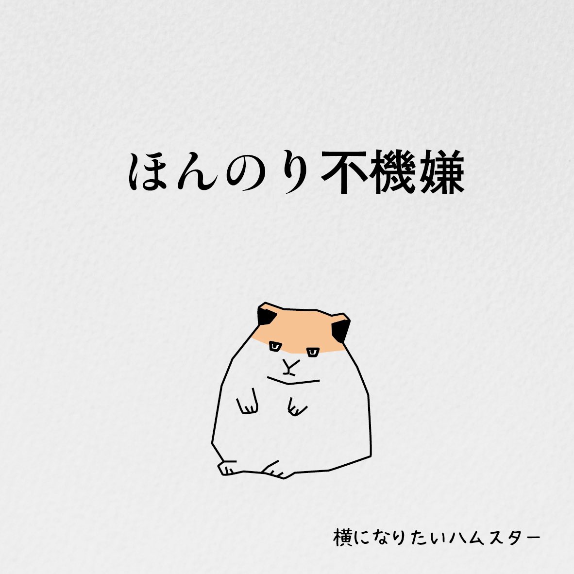 横になりたいハムスター tweet media