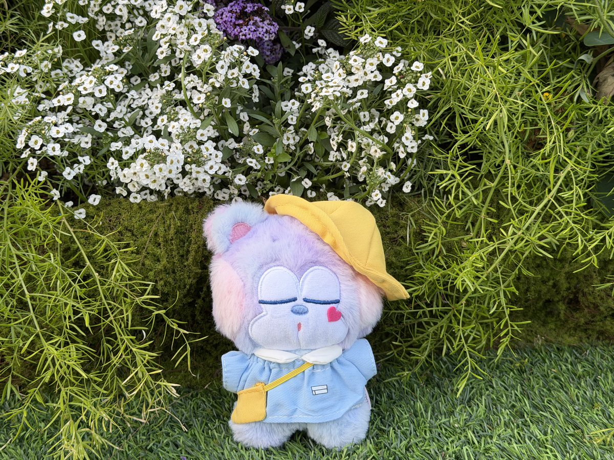 我的mbti是merotaro✿ tweet media