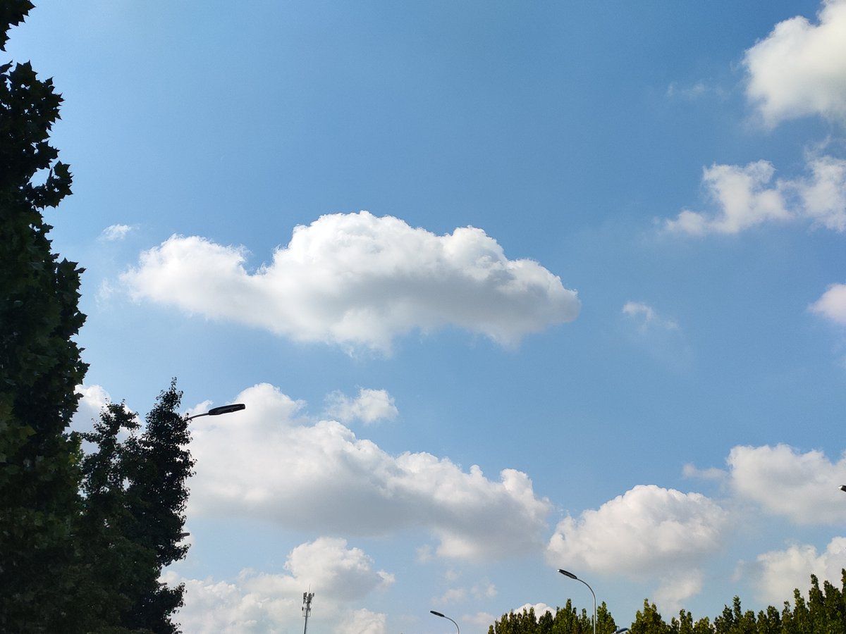 LadyRita tweet media