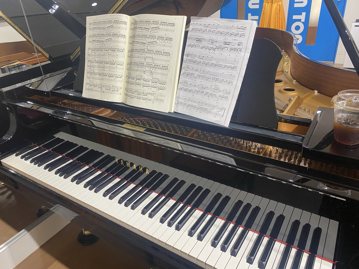 ポイン🥓🍣 tweet media