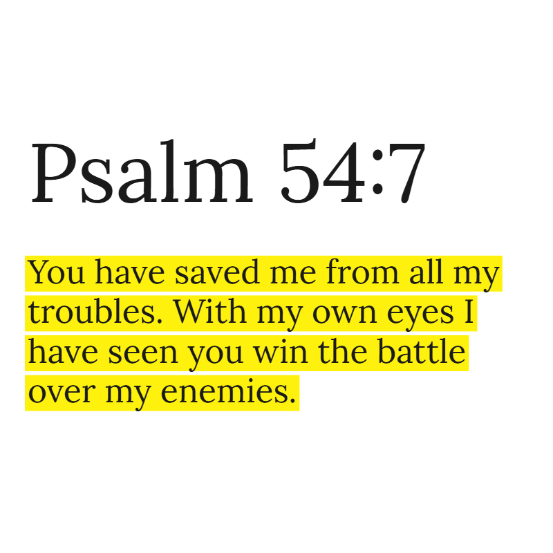 Holy Bible tweet media