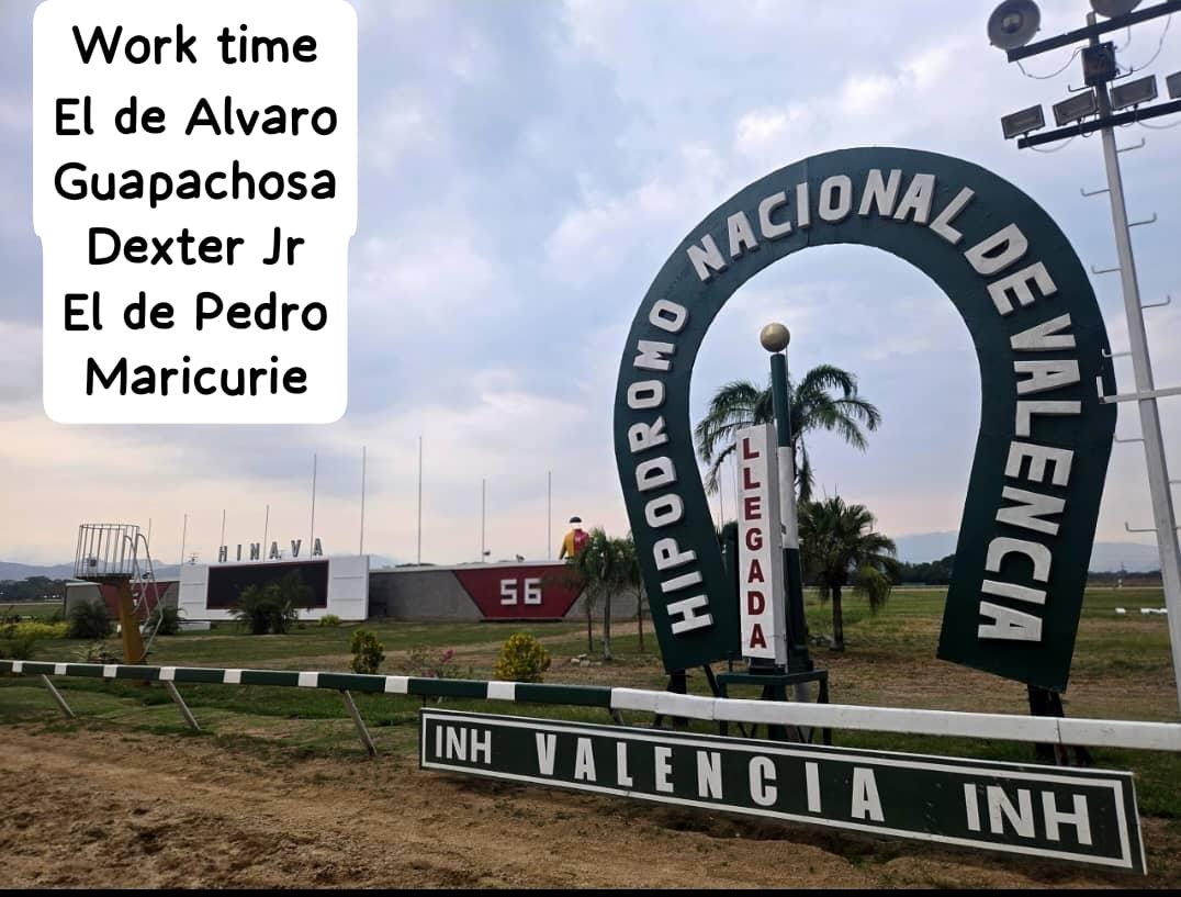 William el científico del hipismo tweet media