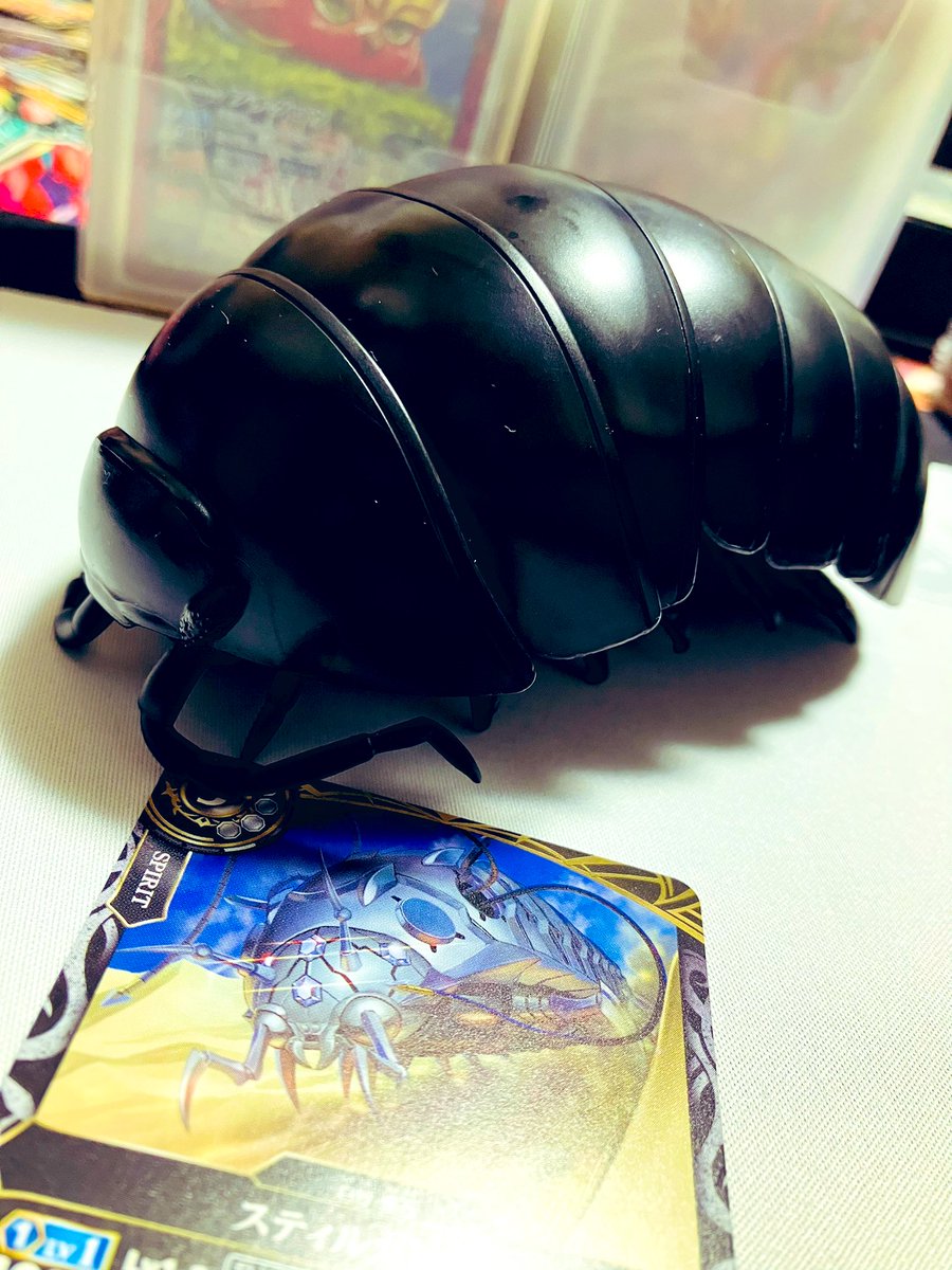ぷちとまとᐠ( ᐢ ᵕ ᐢ )ᐟ tweet media