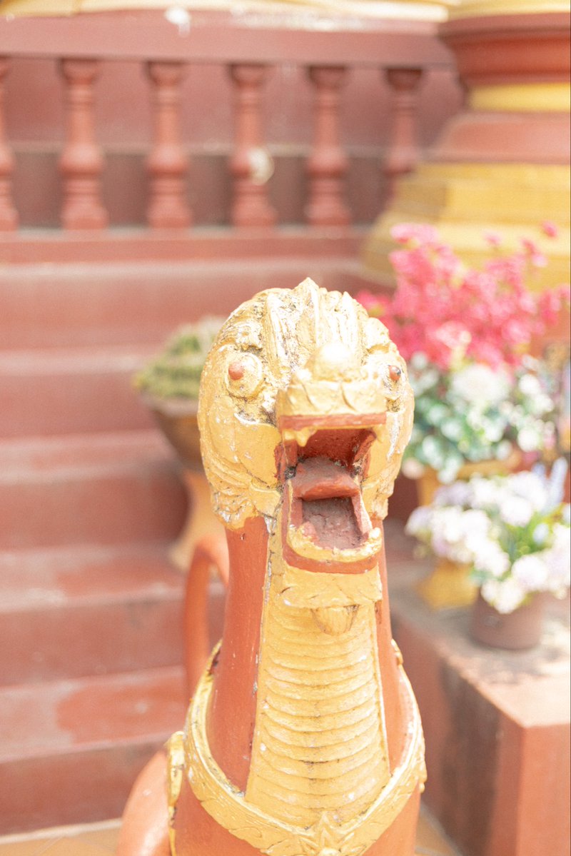 kxxan4187's tweet image. เข้าสิบวัดเล่นมุกไปแล้วร้อยมุก จะได้บุญกันกี่โมงน้อ

#Chiangrai #เชียงราย