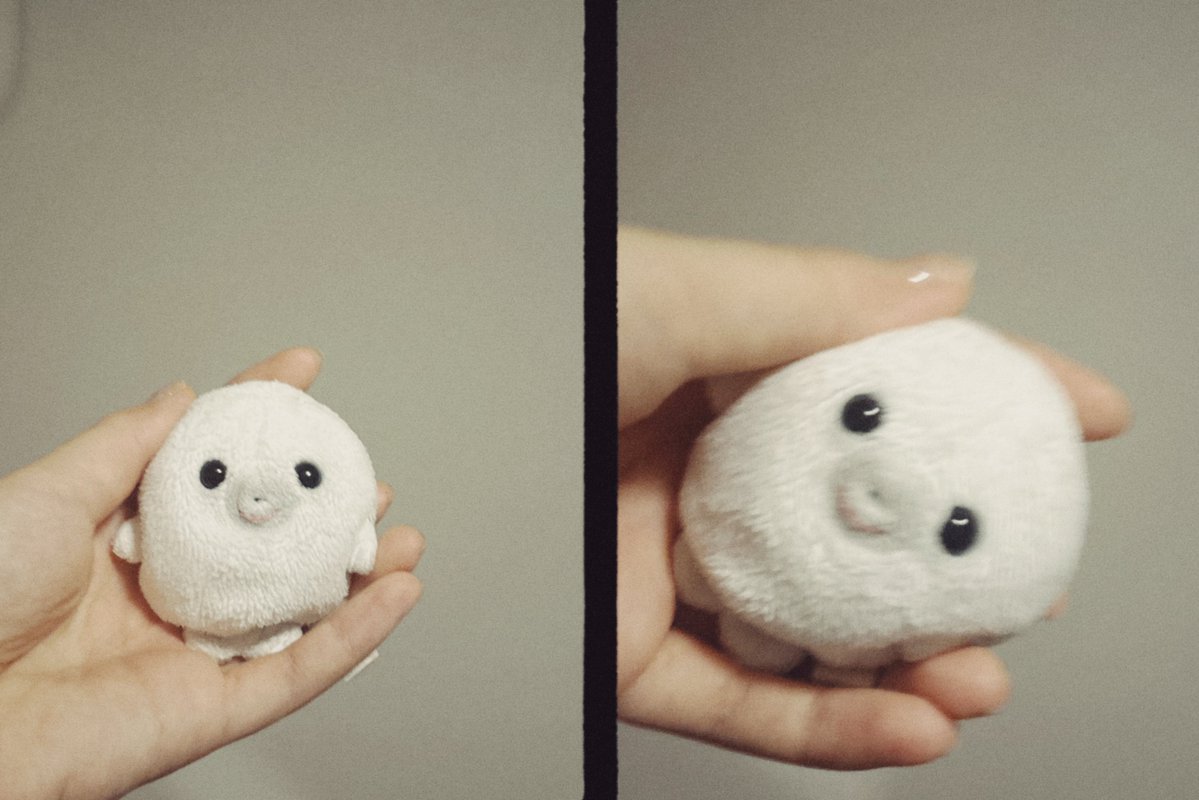 まるぴ tweet media