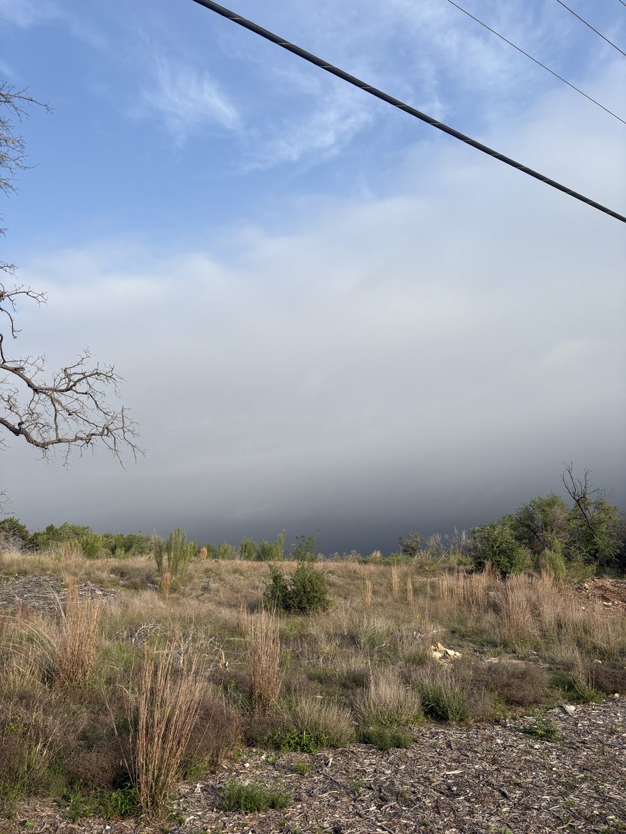 Matt Toohey tweet media