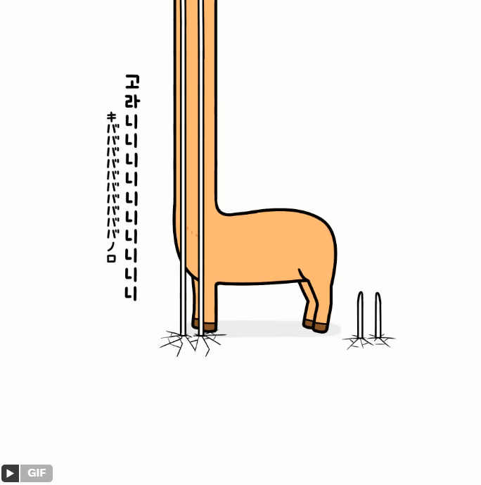 김요이 tweet media