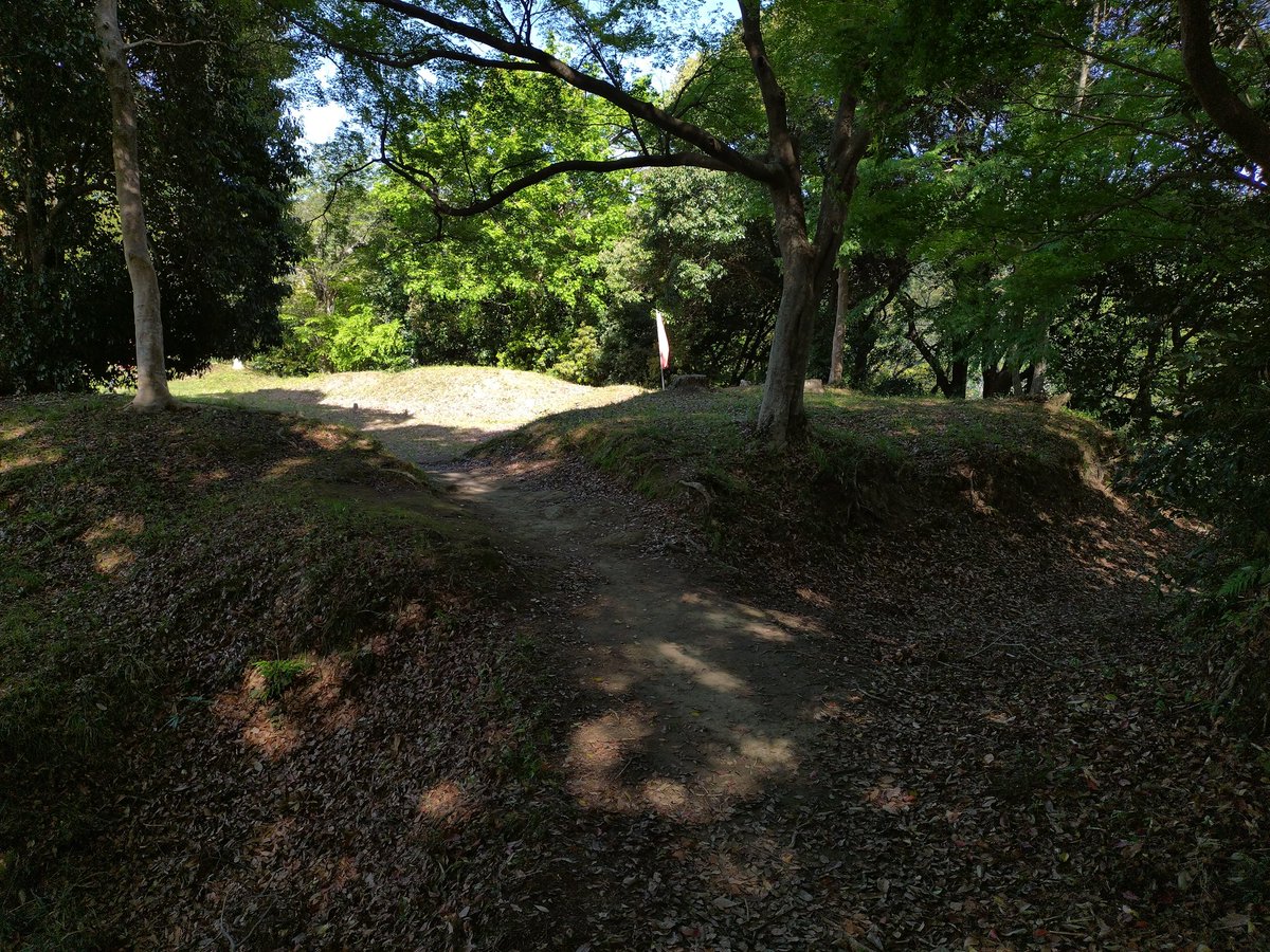 sleeping7cat1's tweet photo. 韮山城跡（静岡県伊豆の国市）
早雲公終生の居城とはためいてた。
堀切がいくつもあり、見応えがありました。
虎口、二ノ丸、本丸、堀切 https://t.co/EqaqmONv6a