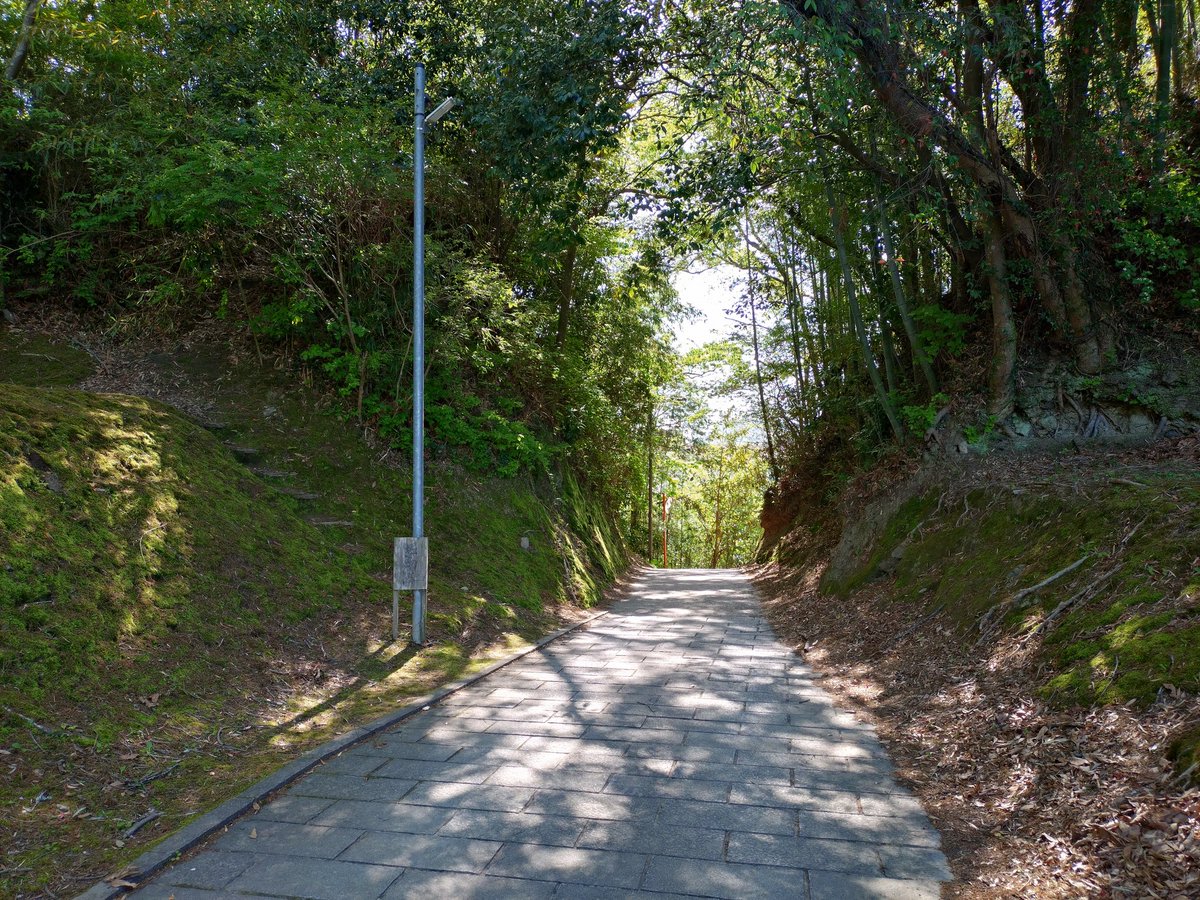 sleeping7cat1's tweet photo. 韮山城跡（静岡県伊豆の国市）
早雲公終生の居城とはためいてた。
堀切がいくつもあり、見応えがありました。
虎口、二ノ丸、本丸、堀切 https://t.co/EqaqmONv6a