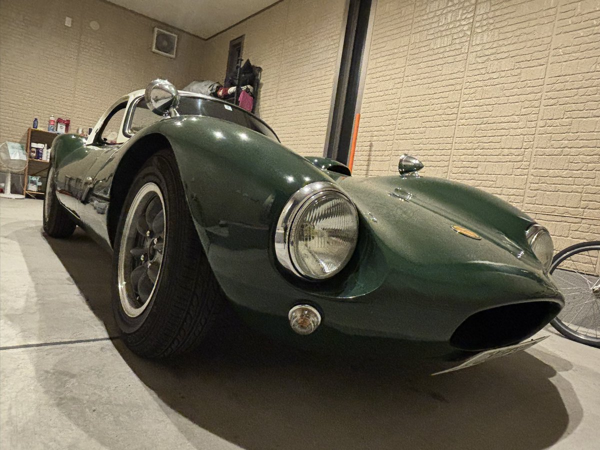 でみたし tweet media