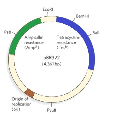 EcoGeneZap tweet media