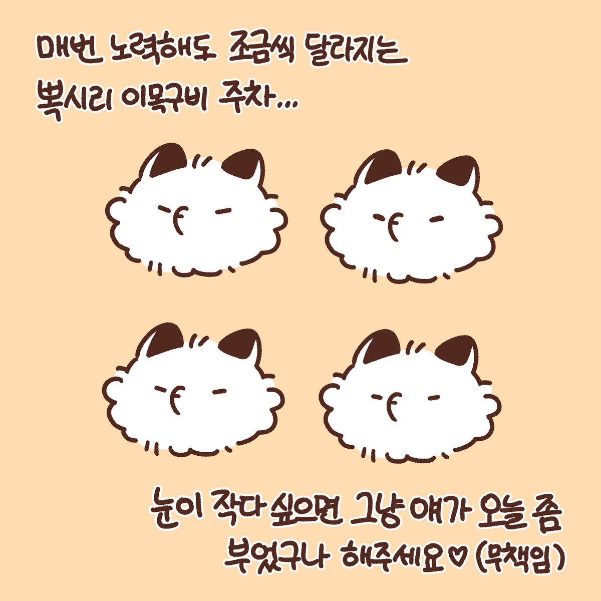 눔시리 Numsiri 🎗 tweet media