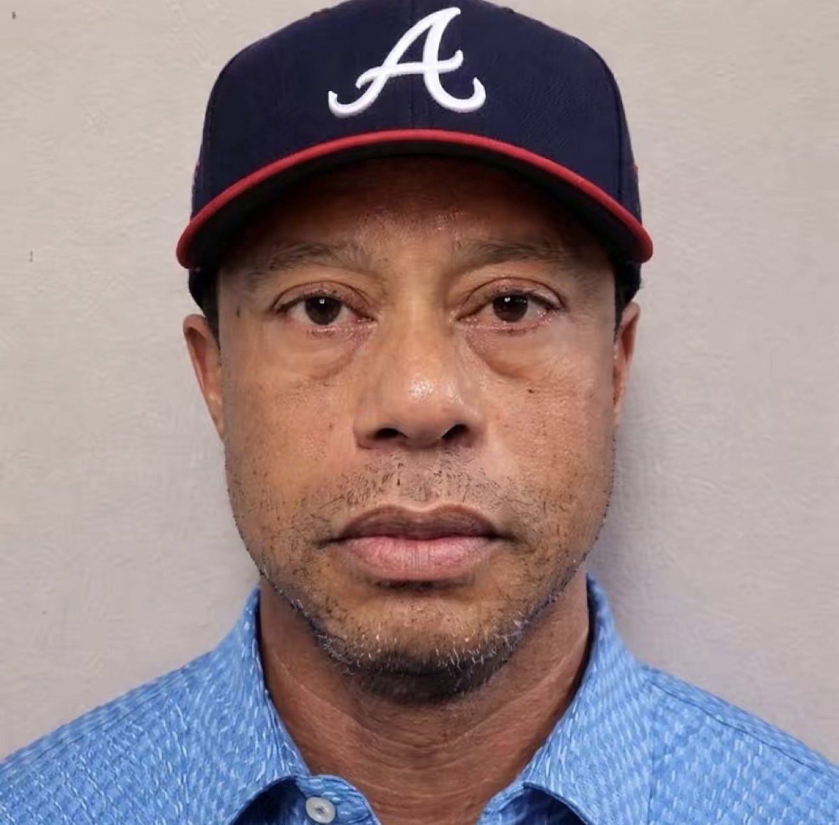 COCONUTMAN tweet media