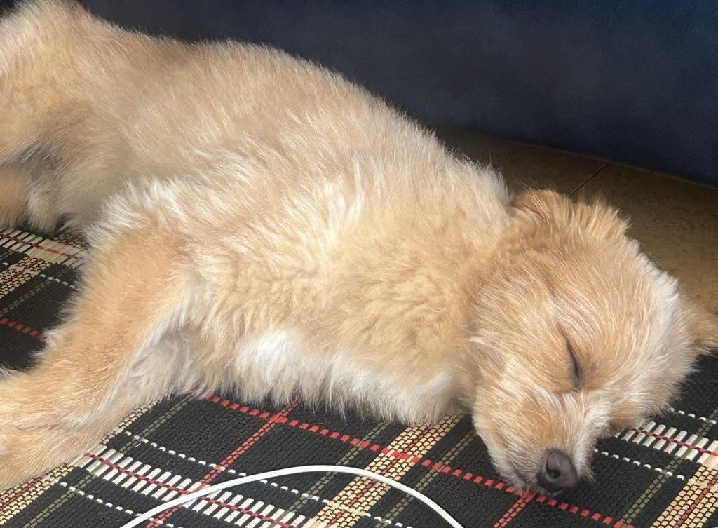 だい。日産初日参戦！ tweet media