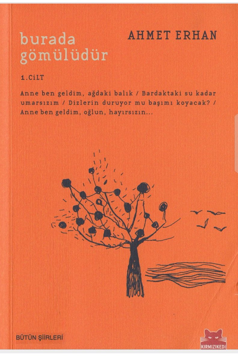 ...
Yüzümü 
günışığı daladı. 
Kollarım 
bir sarmaşık gibi 
dolanıyor her şeye. 
Bedenim 
yağmur altında yıkanan 
bir çakıltaşı
Ey Akdeniz! 
Yanımı yöremi saran mavilik! 
Lirik bir 
yağmur altında 
ıslanıyorum. 
S. 186