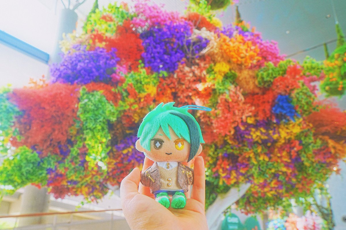 イナリ📷土日祝平日相談可 tweet media