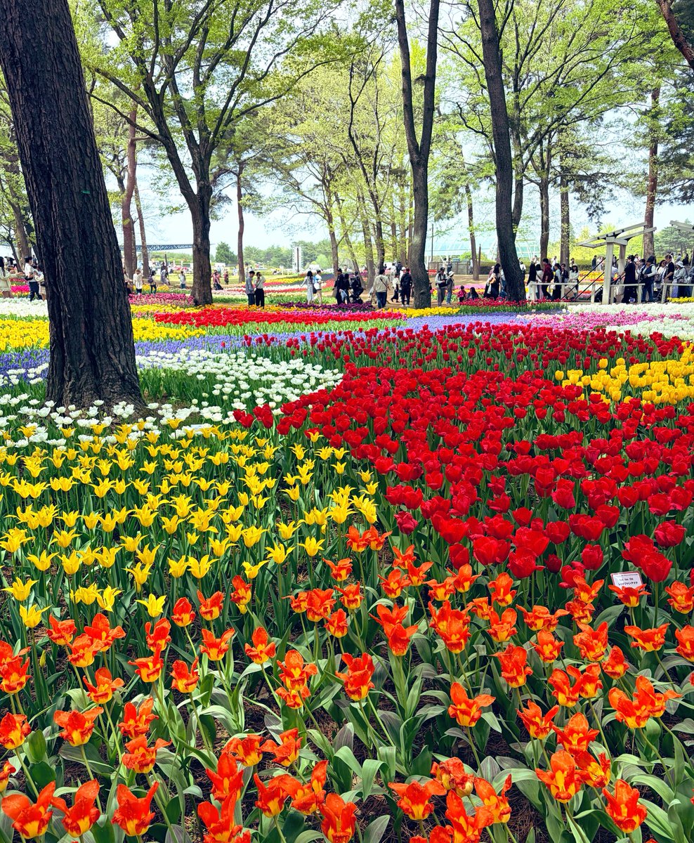 ɴ ᵃ ʳ ⁱ 𖤐˒˒ tweet media